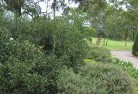 Tothill Beltresidential-landscaping-35.jpg; ?>