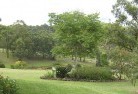 Tothill Beltresidential-landscaping-40.jpg; ?>