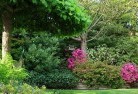 Tothill Beltresidential-landscaping-74.jpg; ?>